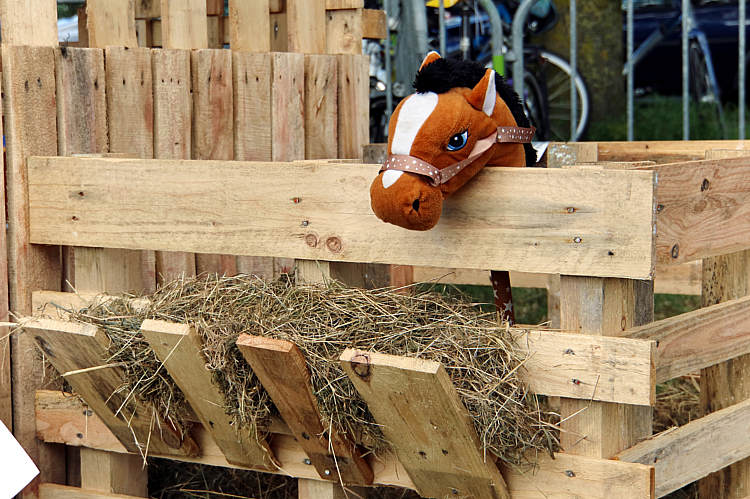 Huttenbouw Driebruggen_118